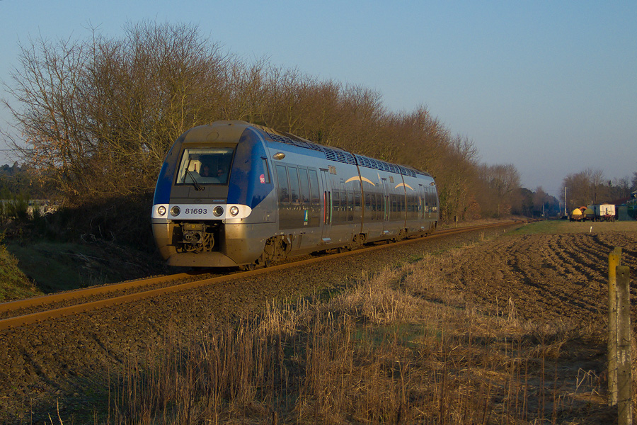 Après une hâlte à la gare de Saint Martin d'Oney, ce B 81693-94 file vers Mont de Marsan le 18.03.2009.jpg